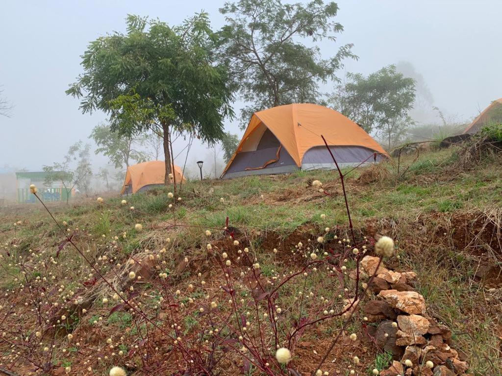 Hotel Wilderness Jungle Camp Malavalli Exteriér fotografie