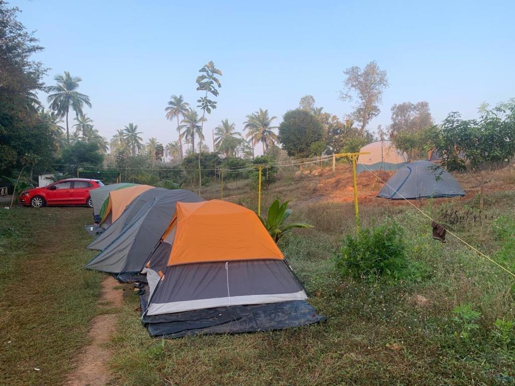 Hotel Wilderness Jungle Camp Malavalli Exteriér fotografie
