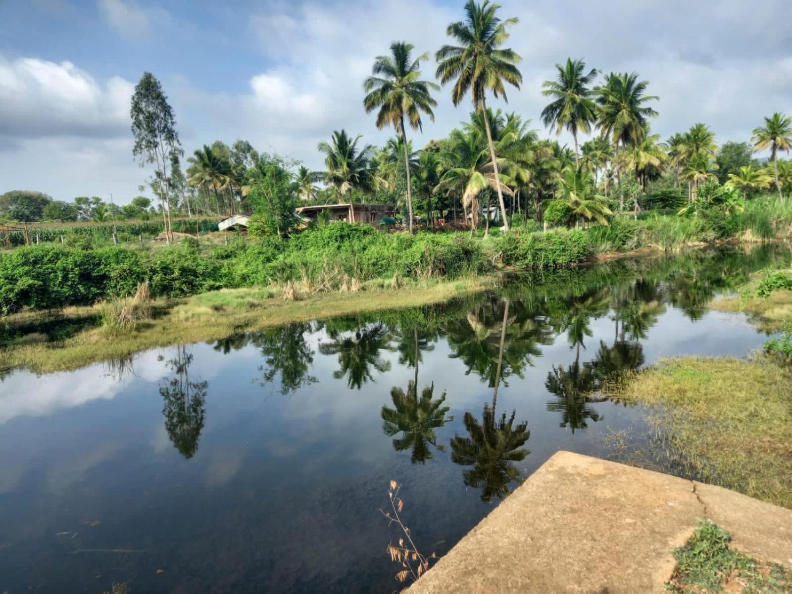 Hotel Wilderness Jungle Camp Malavalli Exteriér fotografie
