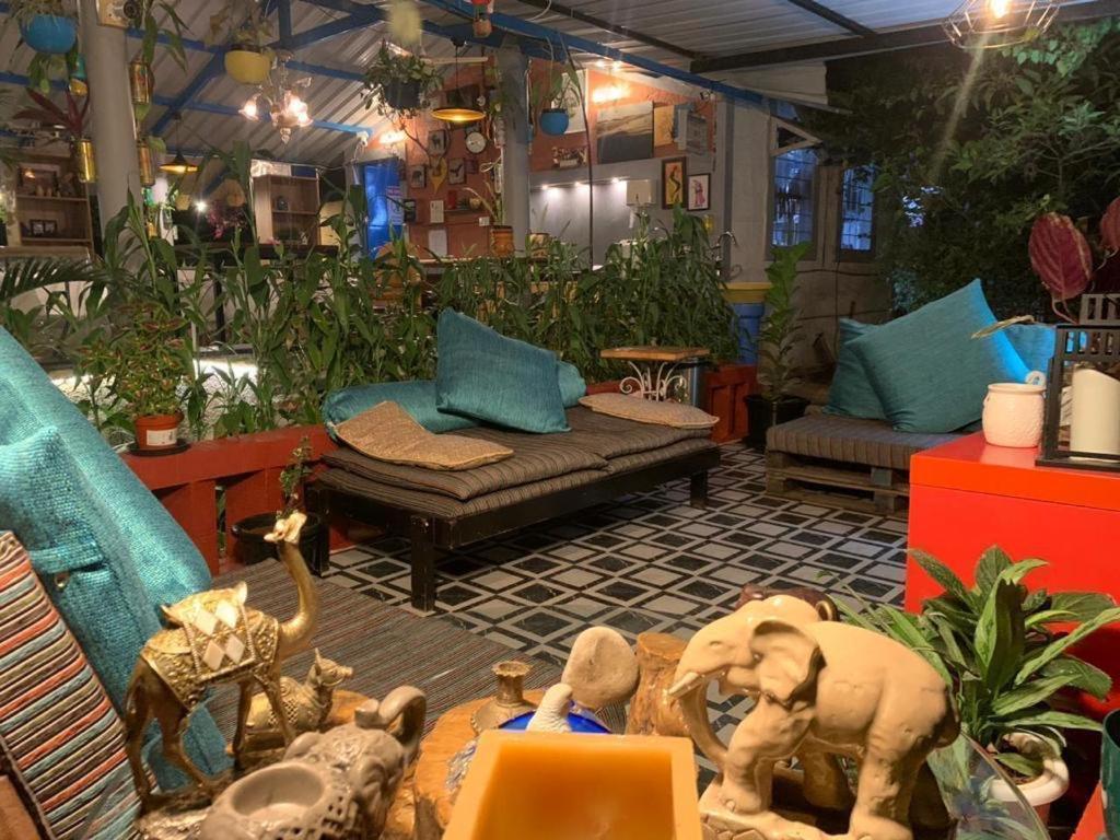Hotel Wilderness Jungle Camp Malavalli Exteriér fotografie