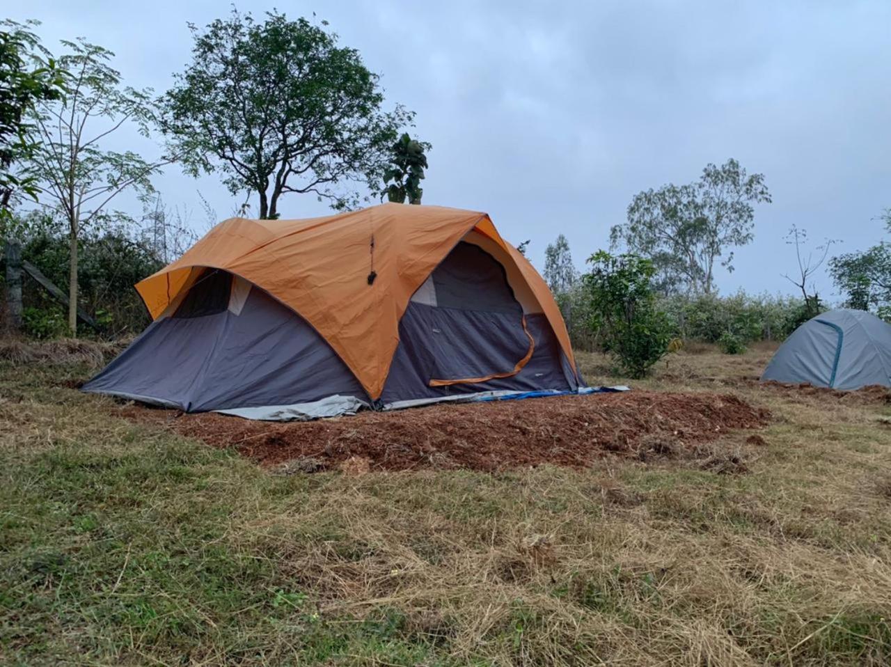 Hotel Wilderness Jungle Camp Malavalli Exteriér fotografie